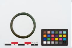 Foto von Bronzering (NHMW-PRAE-024653)